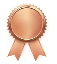 Bronze Rosette